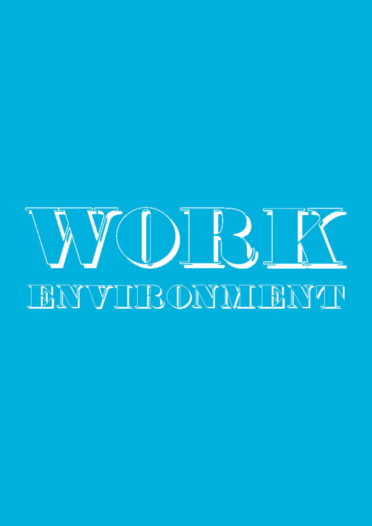 WORK ENVIRONMENT