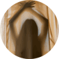 a naked woman behind a transparent curtain